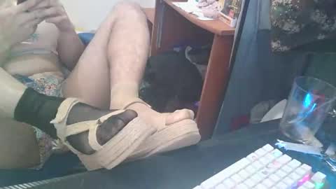 kcitrus online show from February 2026 07:39:02 AM