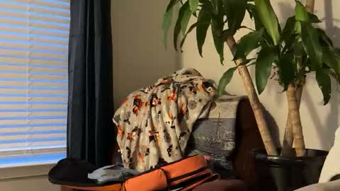 Snapshot of keaton2487 chatting on October 2025 10:56:02 PM Keaton Keller online show from October 2025 10:56:02 PM