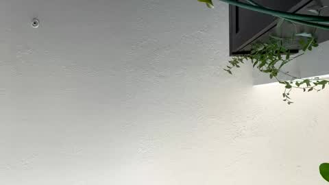 Snapshot of keepquietj chatting on January 2025 07:38:01 PM keepquietj online show from January 2025 07:38:01 PM