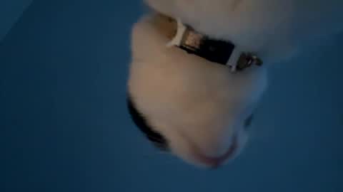 Snapshot of keepquietj chatting on January 2025 12:25:02 AM keepquietj online show from January 2025 12:25:02 AM