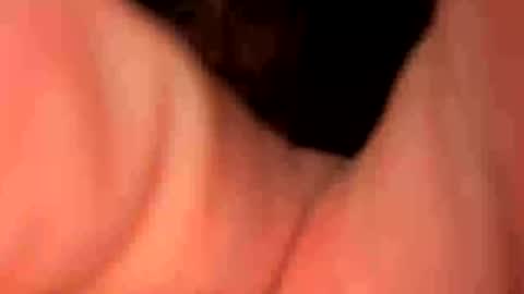 Snapshot of keepquietj chatting on January 2025 05:26:02 AM keepquietj online show from January 2025 05:26:02 AM