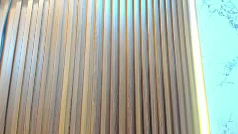    online show from April 2026 12:06:02 PM