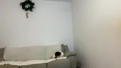 Kenna next time online - 2nd of Dec online show from January 2025 03:43:01 PM