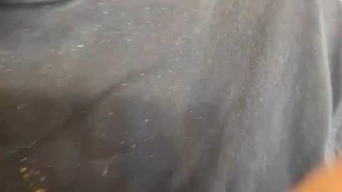 kevinevans448 online show from September 2025 08:30:01 PM