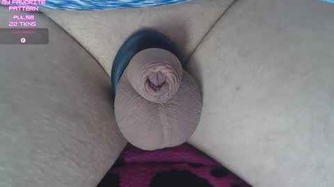 Kevin online show from February 2026 03:08:02 PM