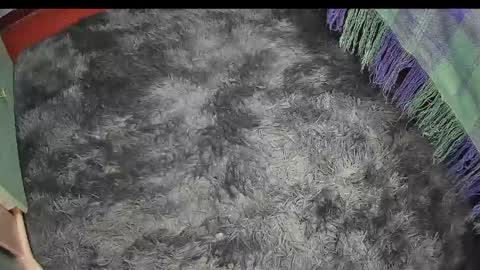 Keyla online show from April 2026 09:29:02 PM