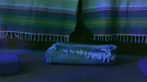 Snapshot of kim_kim69 chatting on October 2025 12:49:02 PM Kim online show from October 2025 12:49:02 PM