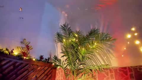 kimberly gonzalez online show from December 2024 07:07:02 AM