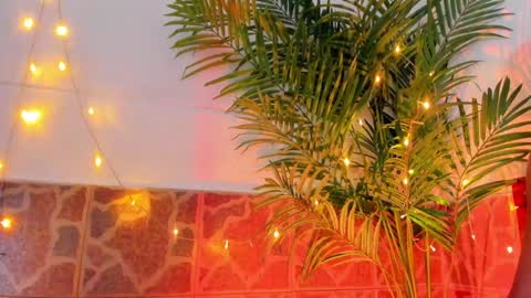 kimberly gonzalez online show from January 2025 03:45:01 AM