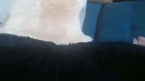 Snapshot of kimberlyfaysantana chatting on May 2026 04:04:02 PM Kimber online show from May 2026 04:04:02 PM