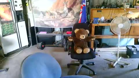 kimintheshed online show from February 2026 10:16:01 AM