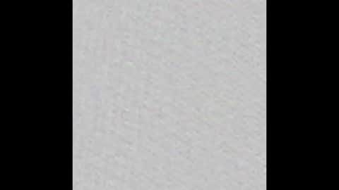 WildKings online show from January 2026 11:04:02 AM