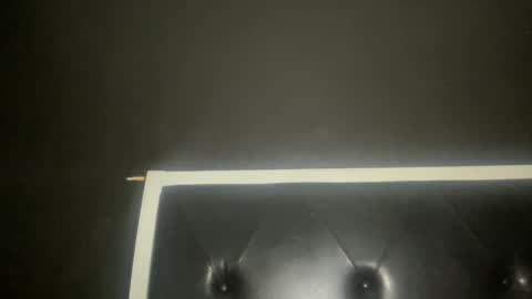 Snapshot of kinkykittee chatting on February 2025 02:36:02 AM Bunniii online show from February 2025 02:36:02 AM