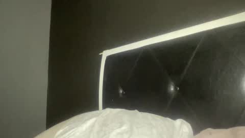 Snapshot of kinkykittee chatting on February 2025 03:41:02 AM Bunniii online show from February 2025 03:41:02 AM