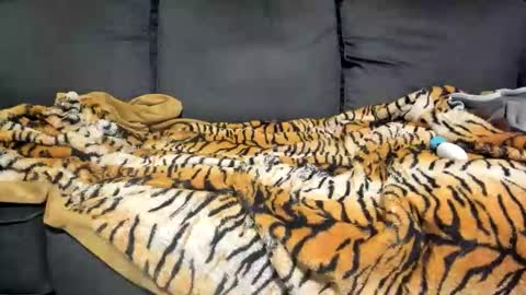 Kinky online show from January 2026 09:12:02 AM