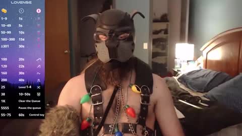 Snapshot of kinkywolf87 chatting on December 2024 08:05:02 PM kinkywolf87 online show from December 2024 08:05:02 PM
