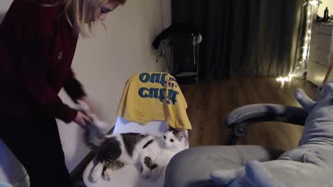 Kisi online show from January 2025 06:43:02 PM