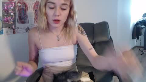 Kisi online show from February 2025 07:38:01 AM