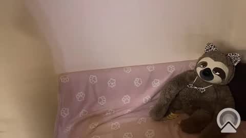 Snapshot of kitiket1 chatting on February 2025 05:40:01 PM kitiket1 online show from February 2025 05:40:01 PM