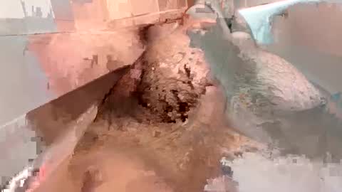 kitkatmac online show from January 2025 07:29:01 PM