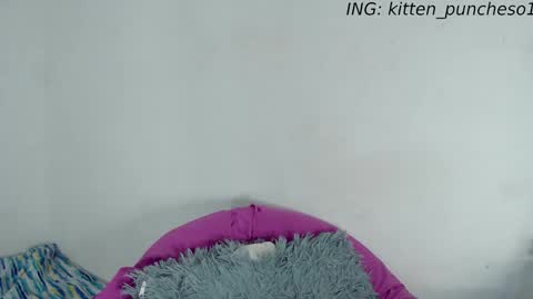 kitten_punches01 online show from September 2025 02:39:02 AM