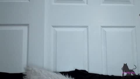 Kitti online show from November 2025 07:52:02 AM