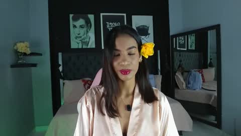 Kitty online show from November 2025 11:54:02 AM