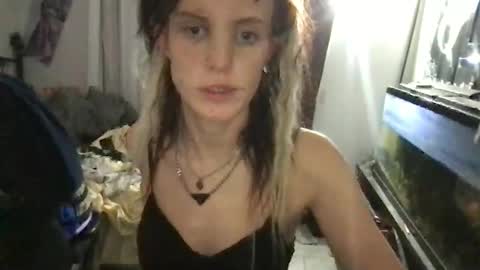 Snapshot of kittycatkendra chatting on February 2025 10:04:01 AM kittycatkendra online show from February 2025 10:04:01 AM