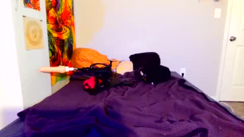 babygirlkitty online show from October 2025 08:13:01 AM