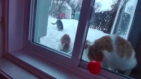 Snapshot of kiveuxmakeu chatting on December 2024 09:11:01 PM kiveuxmakeu online show from December 2024 09:11:01 PM