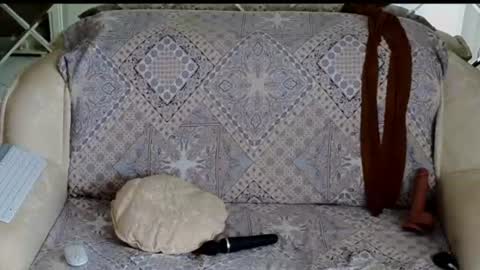 ALYONA online show from July 2026 02:49:02 AM