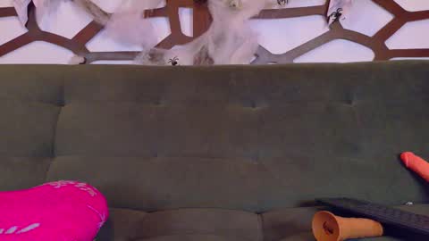 Snapshot of kloe_bella chatting on October 2025 03:38:02 PM kloe_bella online show from October 2025 03:38:02 PM