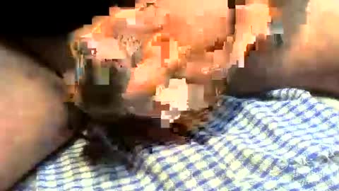 klok8230 online show from March 2026 01:22:01 PM