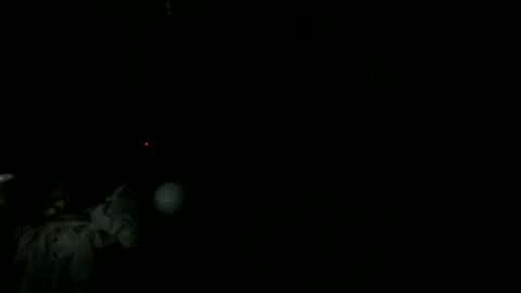 knight_rider118 online show from March 2025 09:24:02 AM