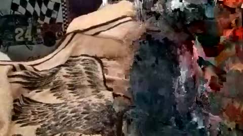 knock2wice1975 online show from January 2025 07:17:02 AM