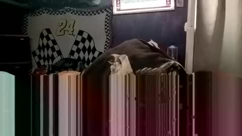 knock2wice1975 online show from January 2025 04:32:01 AM