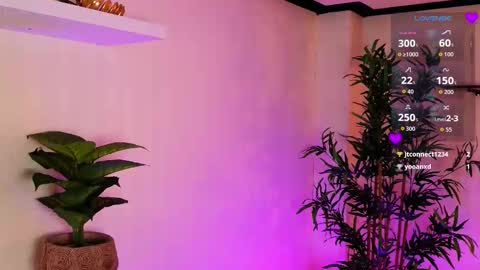 Kore online show from February 2026 07:34:02 PM