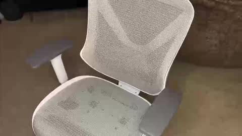 your hairy neighbor online show from December 2025 09:58:02 AM