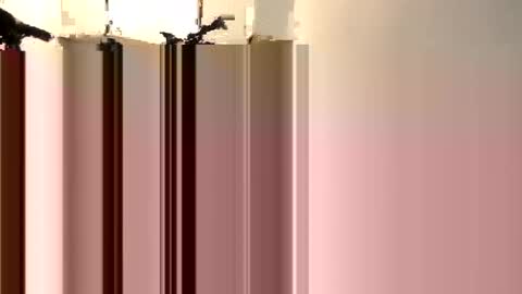 Snapshot of korysmith568 chatting on September 2025 08:41:01 PM korysmith568 online show from September 2025 08:41:01 PM