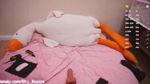 Snapshot of kotland chatting on March 2025 08:32:01 PM ShyNicole online show from March 2025 08:32:01 PM