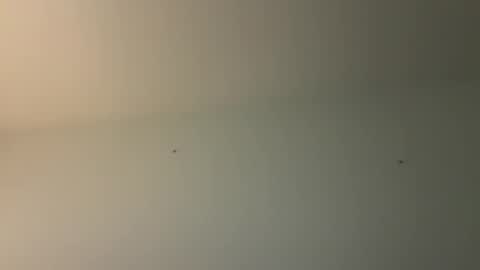 kovapoika online show from October 2025 10:58:02 AM