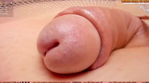 Petra online show from November 2025 07:15:02 PM