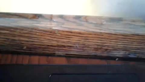 kylesingers online show from November 2025 08:33:02 PM