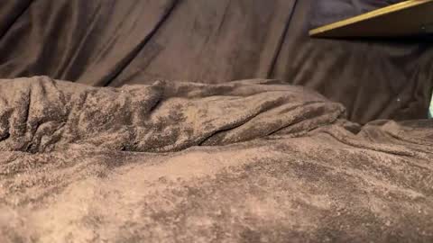 kylevandick online show from April 2026 11:58:01 AM