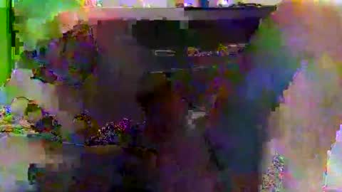 kylevogt2024 online show from April 2026 03:56:01 AM