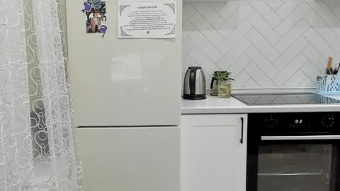 Din online show from December 2024 12:08:02 PM