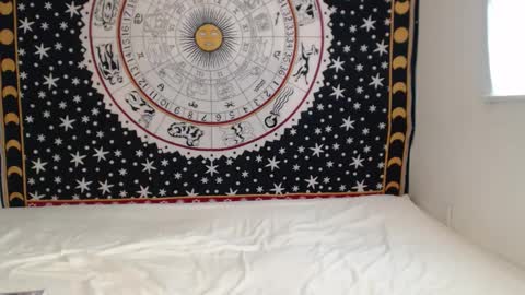 Lacey online show from September 2025 04:32:02 PM