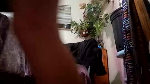 lacybell online show from December 2024 07:06:02 AM