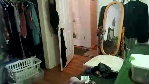 lacybell online show from February 2025 09:53:02 AM