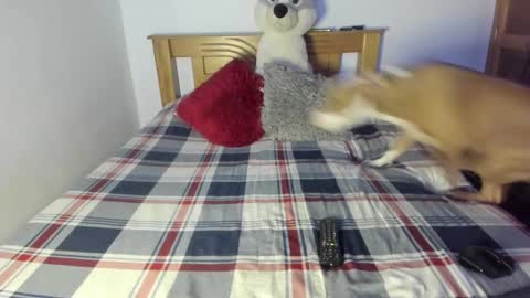 Akyra  online show from October 2025 01:07:02 PM